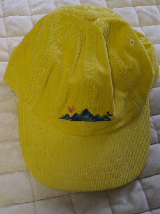 Patagonia Accessories - Corduroy Patagonia ball cap